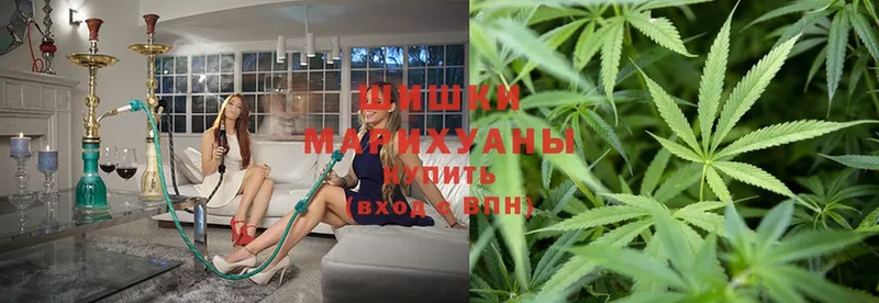 Бошки марихуана White Widow  Пошехонье 